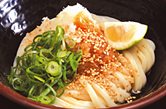 しょうゆうどん