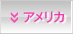 アメリカ