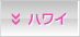 ハワイ